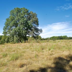 Photo #32 of Off Lowrys Road, Gaffney, SC 579.9 acres