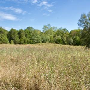 Photo #42 of Off Lowrys Road, Gaffney, SC 579.9 acres