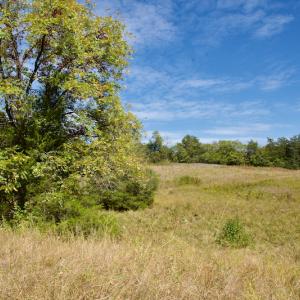 Photo #45 of Off Lowrys Road, Gaffney, SC 579.9 acres