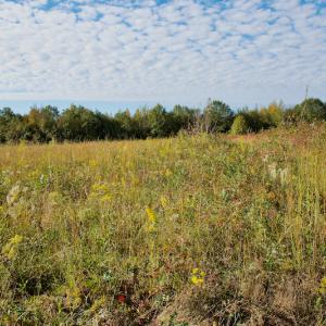 Photo #22 of Off Wilkinsville Hwy (Hwy 105), Gaffney, SC 579.6 acres