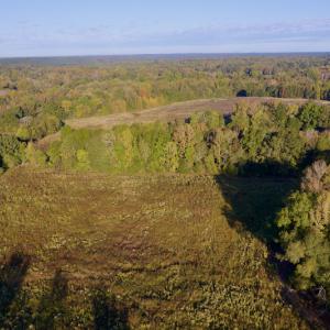 Photo #9 of Off Wilkinsville Hwy (Hwy 105), Gaffney, SC 579.6 acres