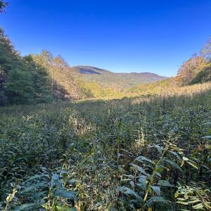 Photo #72 of 414 Niday Dr , Narrows, VA 590.2 acres