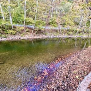 Photo #88 of 414 Niday Dr , Narrows, VA 590.2 acres