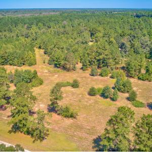 Photo #9 of SOLD property in Off Clark Road , Bladenboro, NC 6.0 acres