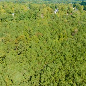 Photo #5 of SOLD property in Off Pony Farm Drive, Siler City, NC 8.1 acres