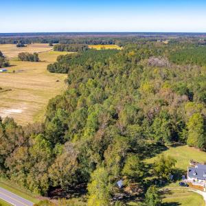 Photo #13 of SOLD property in Off Millie-Christine Road, Whiteville, NC 9.3 acres