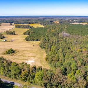 Photo #2 of SOLD property in Off Millie-Christine Road, Whiteville, NC 9.3 acres
