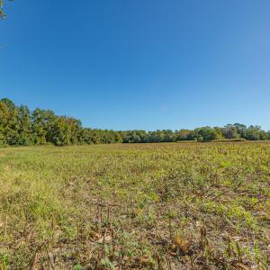 Photo #37 of SOLD property in Off Millie-Christine Road, Whiteville, NC 9.3 acres