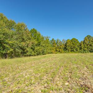 Photo #38 of SOLD property in Off Millie-Christine Road, Whiteville, NC 9.3 acres