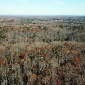 Photo #4 of SOLD property in Off Gera Rd, King George, VA 82.0 acres