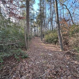 Photo #8 of SOLD property in Off Gera Rd, King George, VA 82.0 acres