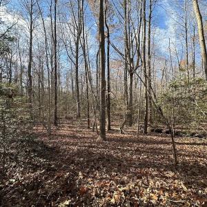 Photo #11 of SOLD property in Off Gera Rd, King George, VA 82.0 acres