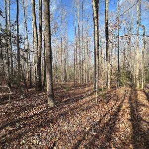 Photo #12 of SOLD property in Off Gera Rd, King George, VA 82.0 acres