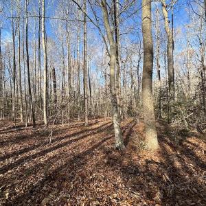 Photo #14 of SOLD property in Off Gera Rd, King George, VA 82.0 acres