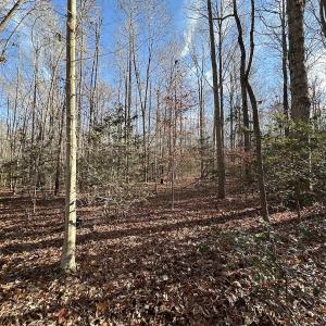 Photo #16 of SOLD property in Off Gera Rd, King George, VA 82.0 acres