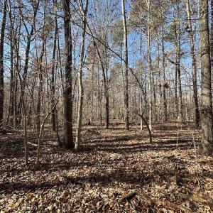 Photo #24 of SOLD property in Off Gera Rd, King George, VA 82.0 acres