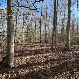 Photo #25 of SOLD property in Off Gera Rd, King George, VA 82.0 acres