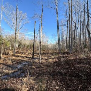 Photo #31 of SOLD property in Off Gera Rd, King George, VA 82.0 acres