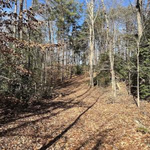 Photo #36 of SOLD property in Off Gera Rd, King George, VA 82.0 acres