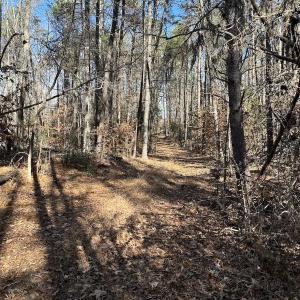 Photo #37 of SOLD property in Off Gera Rd, King George, VA 82.0 acres