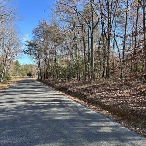 Photo #39 of SOLD property in Off Gera Rd, King George, VA 82.0 acres