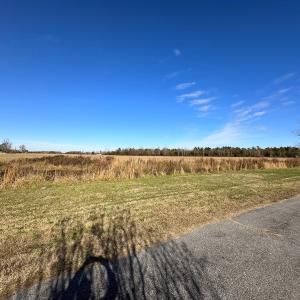 Photo #17 of Off Walters Hwy, Carrsville, VA 34.3 acres