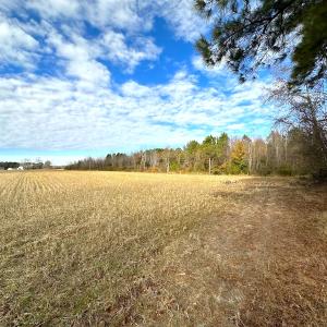 Photo #19 of Off Walters Hwy, Carrsville, VA 34.3 acres