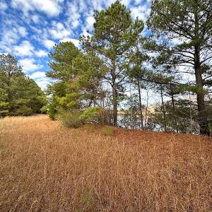 Photo #36 of Off Walters Hwy, Carrsville, VA 34.3 acres