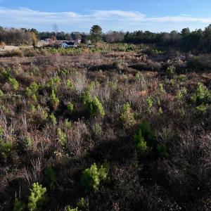 Photo #9 of SOLD property in Off Jolly Ole Field Rd, Grifton, NC 18.5 acres