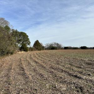 Photo #9 of SOLD property in Off Old Stage Hwy, Smithfield, VA 18.7 acres