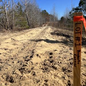 Photo #18 of 01 Josey Williams Road, Erwin, NC 10.9 acres