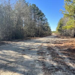 Photo #24 of 02 Josey Williams Road, Erwin, NC 11.0 acres