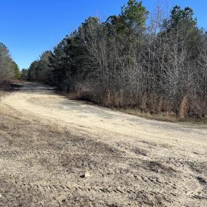 Photo #25 of 02 Josey Williams Road, Erwin, NC 11.0 acres