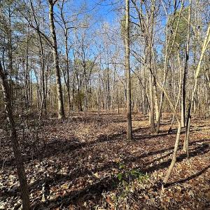 Photo #11 of SOLD property in 7251 Baxter Rd, Disputanta, VA 21.8 acres