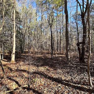 Photo #12 of SOLD property in 7251 Baxter Rd, Disputanta, VA 21.8 acres