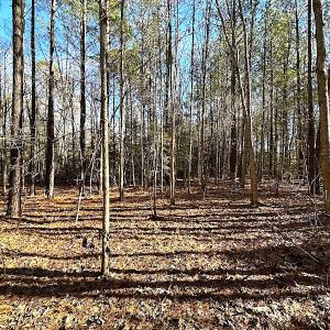 Photo #17 of SOLD property in 7251 Baxter Rd, Disputanta, VA 21.8 acres