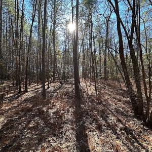 Photo #22 of SOLD property in 7251 Baxter Rd, Disputanta, VA 21.8 acres