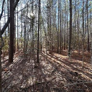 Photo #24 of SOLD property in 7251 Baxter Rd, Disputanta, VA 21.8 acres
