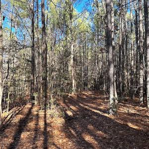 Photo #28 of SOLD property in 7251 Baxter Rd, Disputanta, VA 21.8 acres