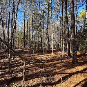 Photo #34 of SOLD property in 7251 Baxter Rd, Disputanta, VA 21.8 acres
