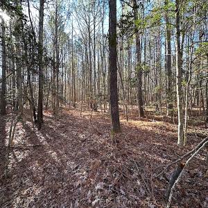 Photo #36 of SOLD property in 7251 Baxter Rd, Disputanta, VA 21.8 acres