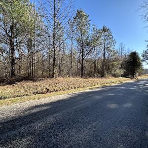 Photo #37 of SOLD property in 7251 Baxter Rd, Disputanta, VA 21.8 acres