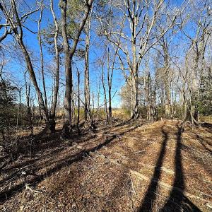 Photo #30 of SOLD property in Off Big Pine Rd, Painter, VA 31.8 acres