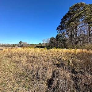 Photo #32 of SOLD property in Off Big Pine Rd, Painter, VA 31.8 acres