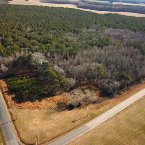 Photo #2 of SOLD property in Off Big Pine Rd, Painter, VA 31.8 acres