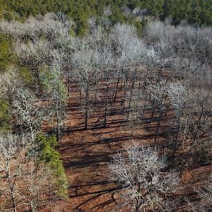 Photo #4 of SOLD property in Off Big Pine Rd, Painter, VA 31.8 acres