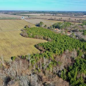 Photo #11 of SOLD property in Off Halls Creek Rd, Elizabeth City, NC 75.6 acres