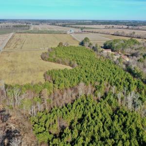 Photo #13 of SOLD property in Off Halls Creek Rd, Elizabeth City, NC 75.6 acres