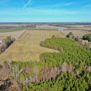 Photo #15 of SOLD property in Off Halls Creek Rd, Elizabeth City, NC 75.6 acres