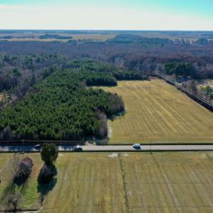 Photo #3 of SOLD property in Off Halls Creek Rd, Elizabeth City, NC 75.6 acres